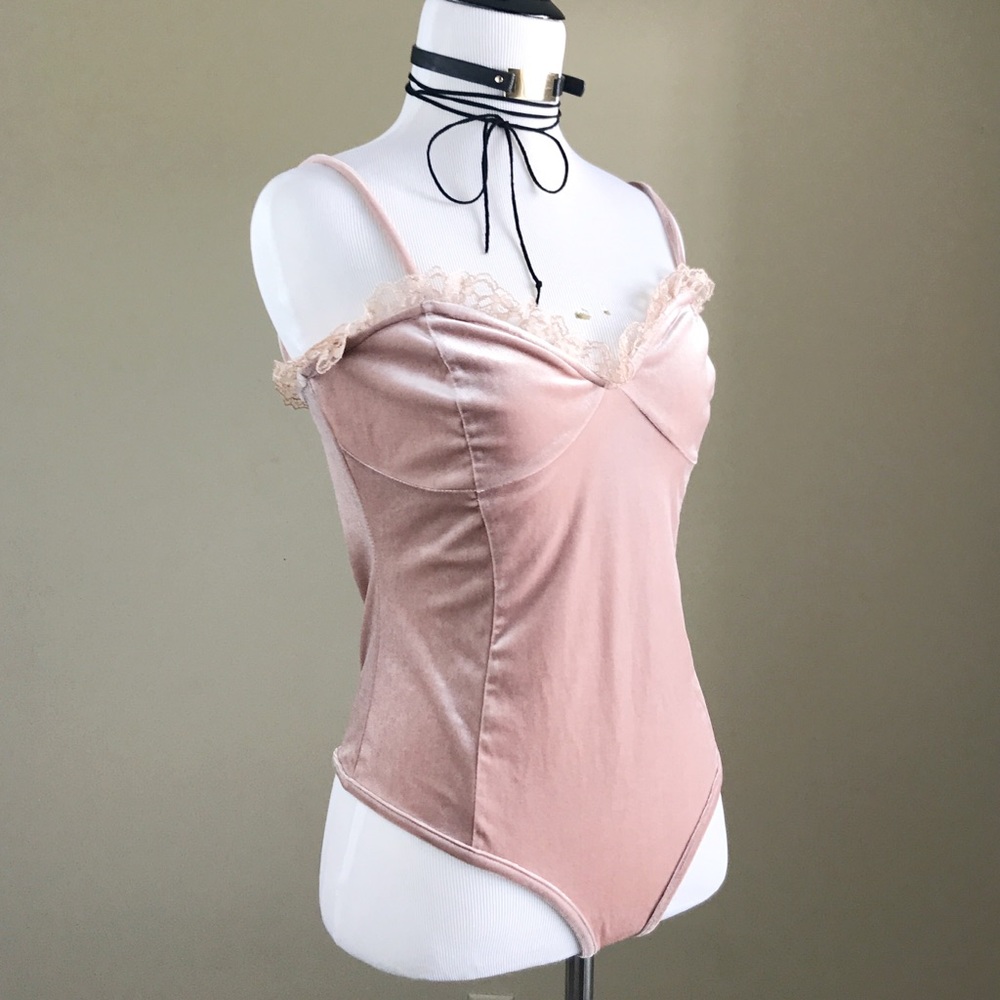 Romantic Dusty Pink Rose Velvet Bodysuit - Picture 2 of 8